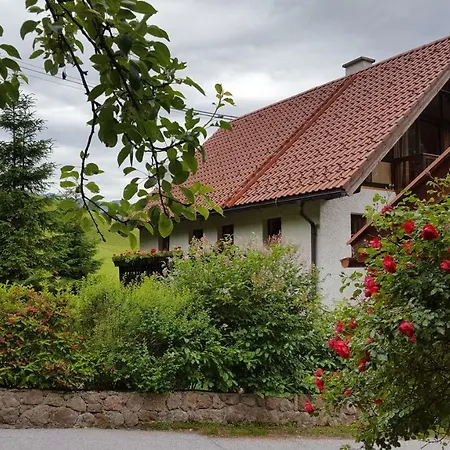 شقة Studio Im Stieglhausl *